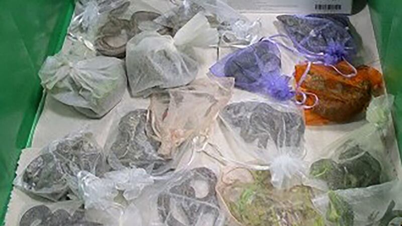 The reptiles were found tied up in small bags. Photograph: US Customs and Border Protection via AP