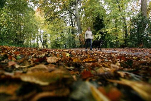 In praise of Autumn: Ireland is not a summery nation