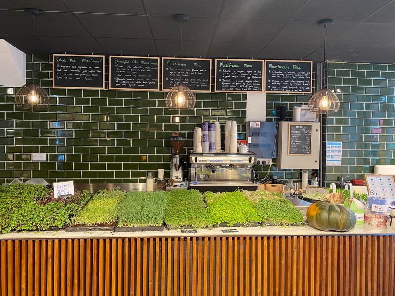 Cork Rooftop Farm micro herbs. Photograph: Corinna Hardgrave