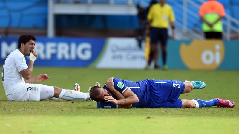 Giorgio Chiellini on the floor after being bitten by Luis Suarez in Natal. Photograph: Javier Soriano/Getty