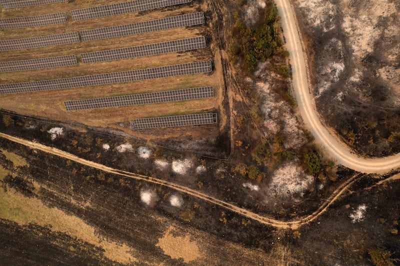 Burnt trees in the village of Avra, near Alexandroupolis town, in the north-eastern Evros region, Greece. Photograph: Achilleas Chiras/AP