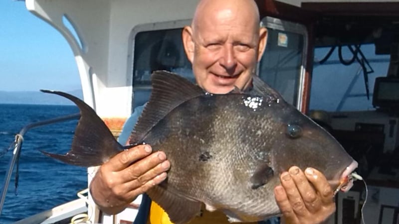 Charter skipper Peter Power with a trigger fish caught last Monday at Mullaghmore, Co Sligo, by holidaymaker Damian Orlicki