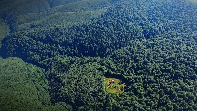 This cabin dating from the 1960’s lies near the largest virgin beech forest in Europe