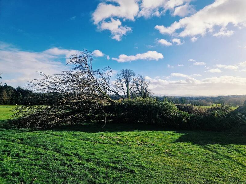 Storm Éowyn damage to Banbridge GC. Photograph: Conor McKenna