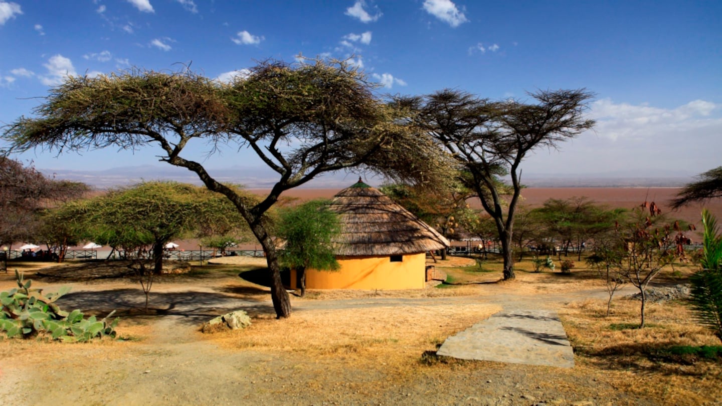 Ethiopia, risen from the ashes – The Irish Times