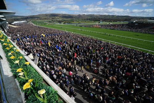 Cheltenham: The Irish group of friends in attendance for 45 years