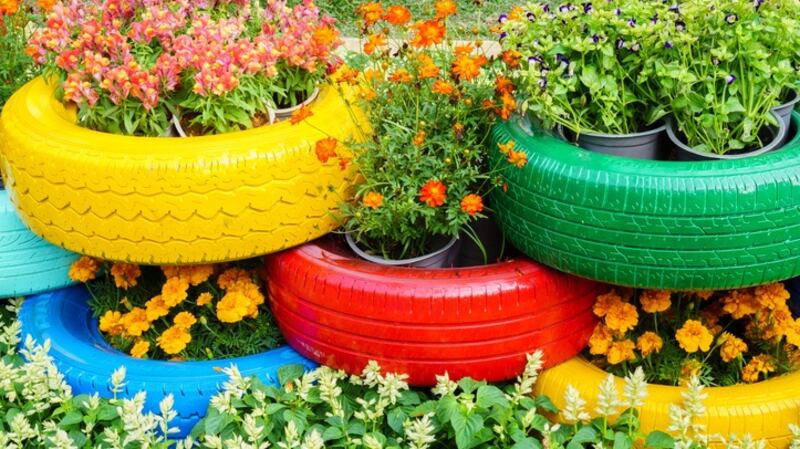 Discarded bald car tyres can become free planters.