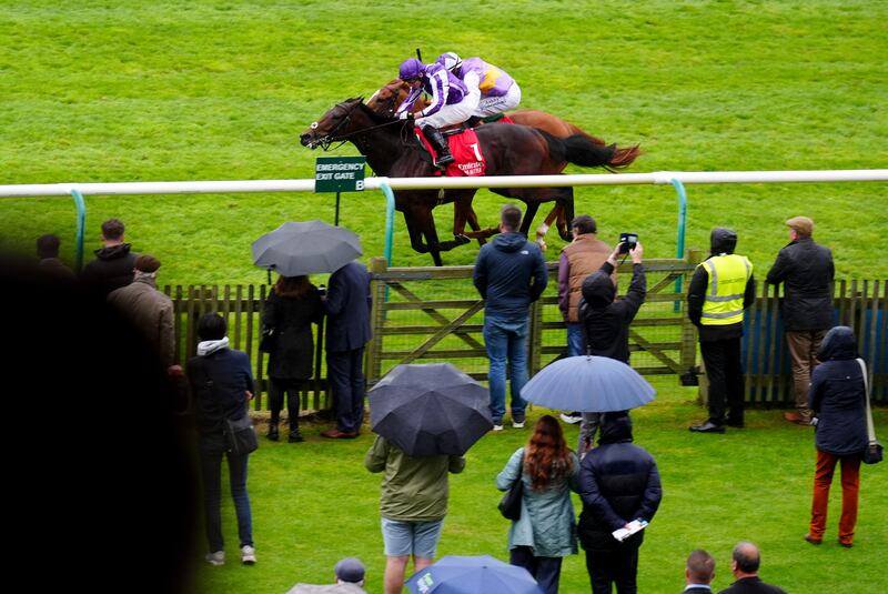 Delacroix tops a six-strong Ballydoyle entry. Photograph: Mike Egerton/PA 