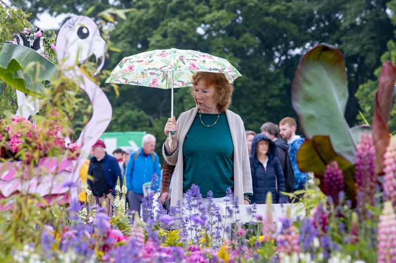 Frances Patterson from Belfast pictured at Bloom last year. Photograph: Tom Honan