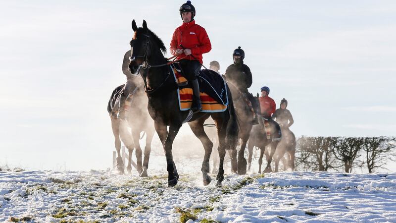 Might Bite is ridden by Nico de Boinville up the Lambourn Gallops last Tuesday. Photo: Megan Rose/PA Wire