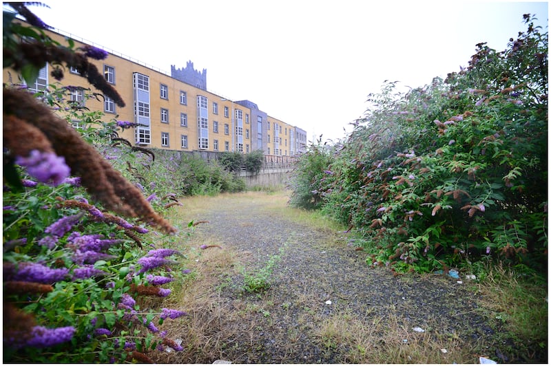 A large, unused corner of land between Church Street and Lincoln Lane beside the Luas line and close to the Four Courts. Photograph: Bryan O'Brien