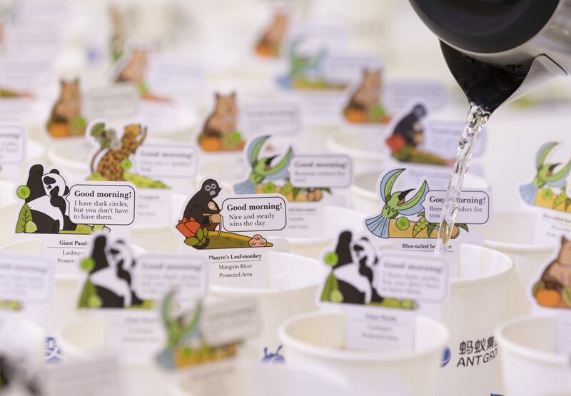 Illustrations of protected animals on teacups served at the China Pavilion of the COP15 UN Biodiversity Conference in Montreal, Canada, on Monday. Photograph: Christinne Muschi/Bloomberg 