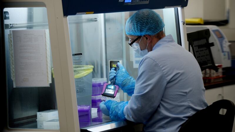 The Randox extraction lab, where coronavirus is extracted and isolated from patient samples. Photograph: Alan Betson