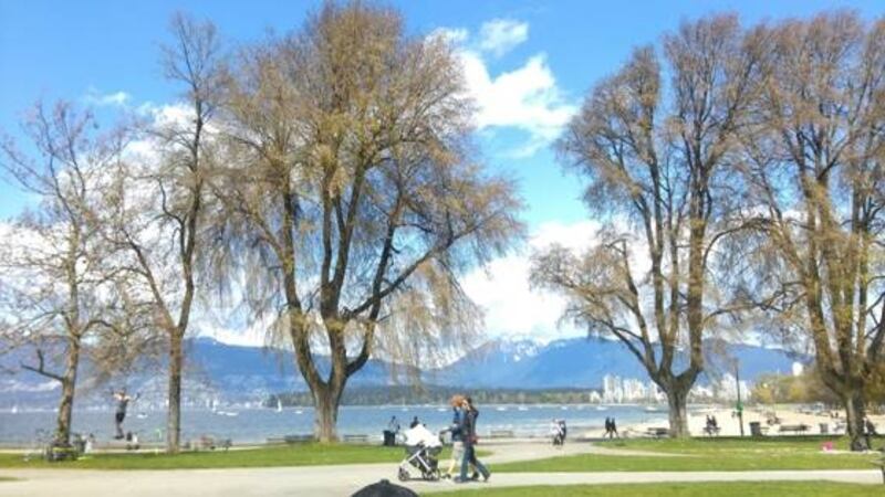 Kitsilano Beach Park in Vancouver. Photograph: Hazel Norton