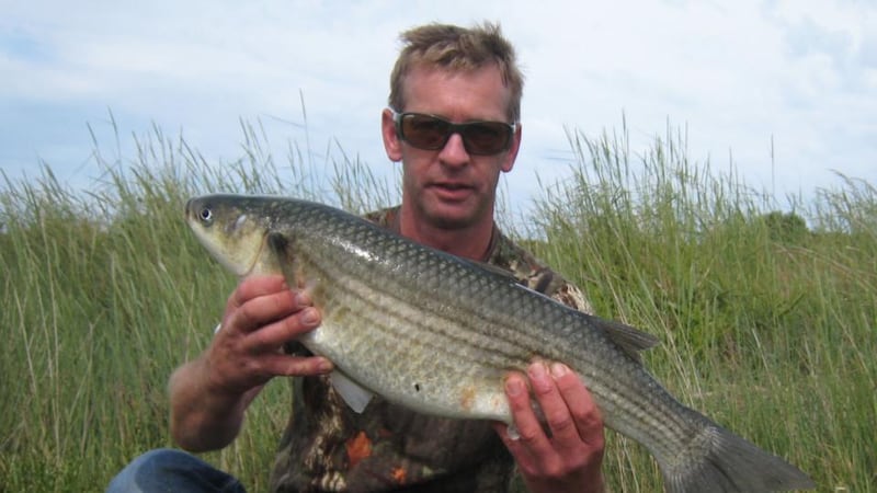 Fisheries officer Des Chew with a 3.17kg (7lb) thick-lipped mullet caught off the east coast.