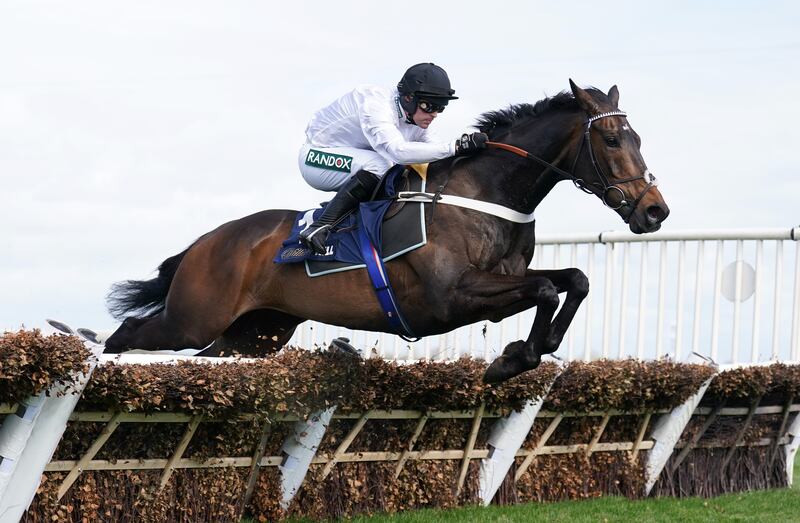 Saturday’s cross-channel Grade One highlight is the return of Constitution Hill in Newcastle’s Bet MGM Fighting Fifth Hurdle. Photograph: Mike Egerton/PA Wire.