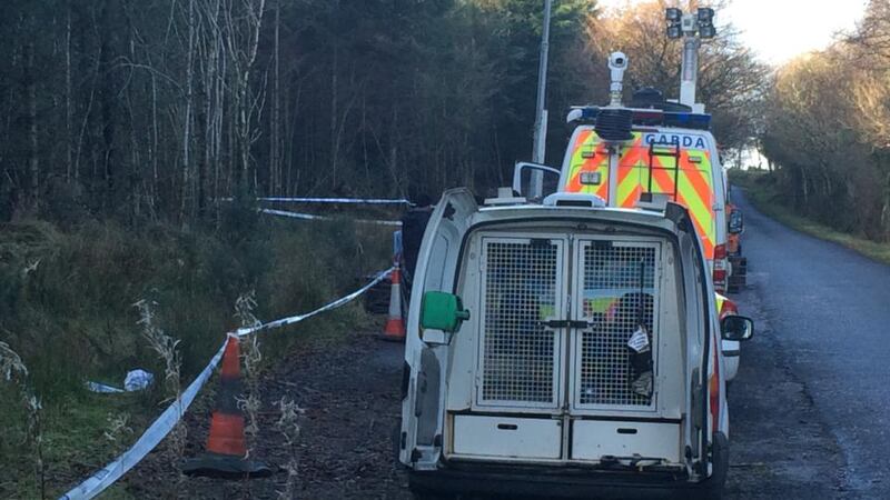 Gardaí will search a strip of woodland at the edge of a remote forest in the Sleive Bloom mountains in County Laois. Photograph: Tim O’Brien