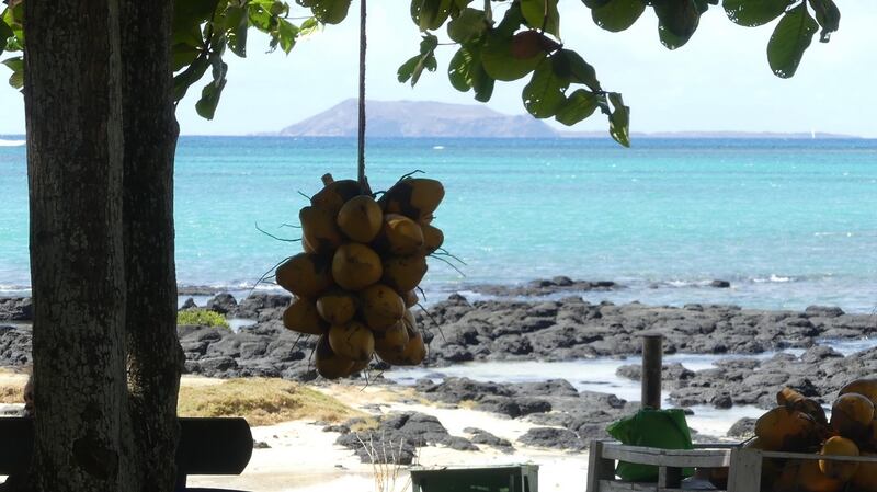 A coconut stand on a beach.