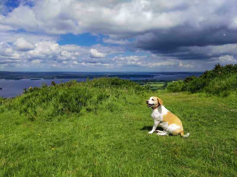 Lough Derg, from Tountinna, Co Tipperary