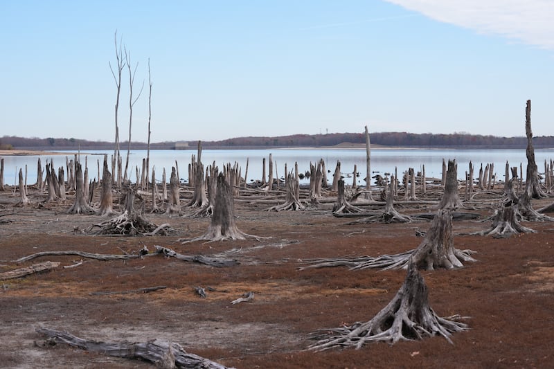 A New Jersey reservoir that supplies drinking water to 1.2 million people dropped below half empty last week, when New York City declared its a drought warning following an unprecedented wave of dry autumn weather in the northeast United States. Photograph: Lokman Vural Elibol/Anadolu via Getty Images