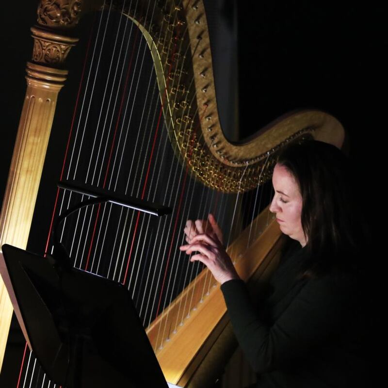 RTÉ Concert Orchestra: harpist Geraldine O’Doherty. Photograph: Nick Bradshaw