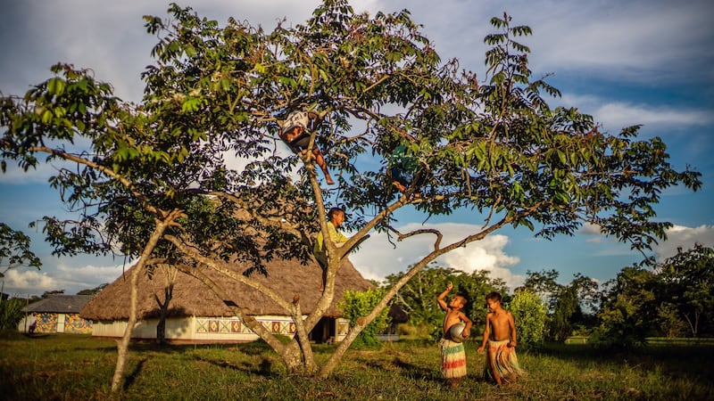 Indigenous boys play at the Maguare Reservation in Colombia. University students who live on the reservation struggle to attend classes remotely. Photograph: Federico Rios/New York Times