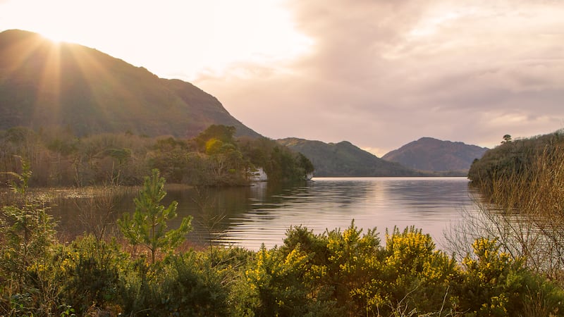 Lough Leane in Killarney National Park. Photograph: iStock