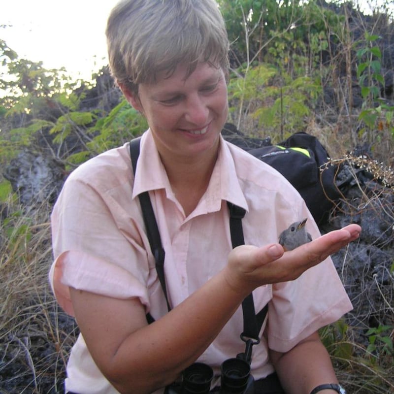 Prof Nicola Marples with an Island Monarch. Photograph: Fionn O Marcaigh