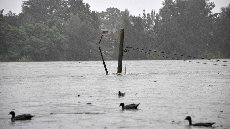 Ducks swim inside a flooded park along the overflowing Nepean river in  the Penrith suburb of Sydney on March 21st, 2021. Photograph: Saeed Khan/AFP via Getty