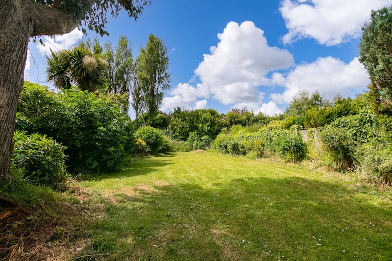 Back garden at 34 Bellevue Road