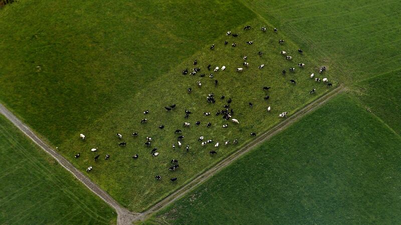 We must remember the  greater toll the recent weather  took on farmers. Photo: David Sleator