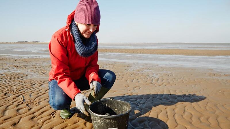 Catherine Cleary tries her hand at foraging. Photograph: Mikkel Kallehauge/Mark & Bjerre Photography