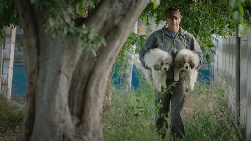 John Chester in The Biggest Little Farm