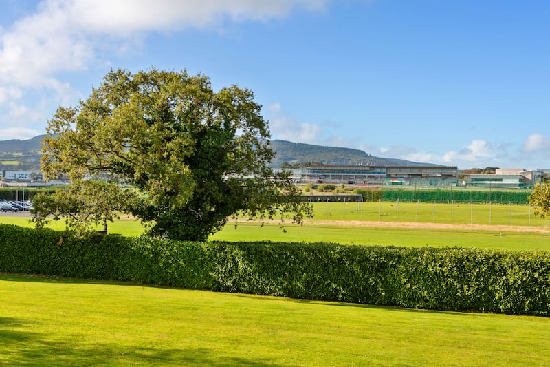 Views stretch over the racecourse to the Dublin Mountains. Photograph: Angela Mujica