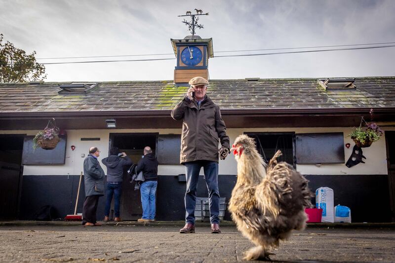 Trainer Willie Mullins is aiming to win the Melbourne Cup with Vauban. Photograph: Morgan Treacy/Inpho