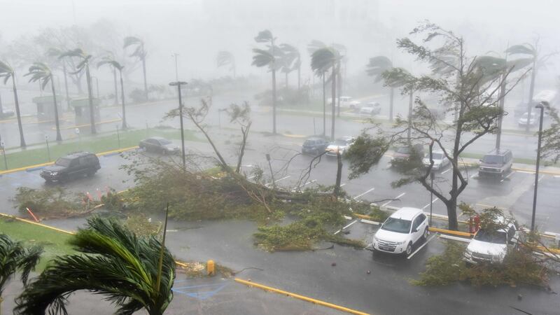 Trees are toppled in a parking lot at  in San Juan, Puerto Rico,  during the passage of the Hurricane Maria. Photograph: Hector Retamal/AFP/Getty Images