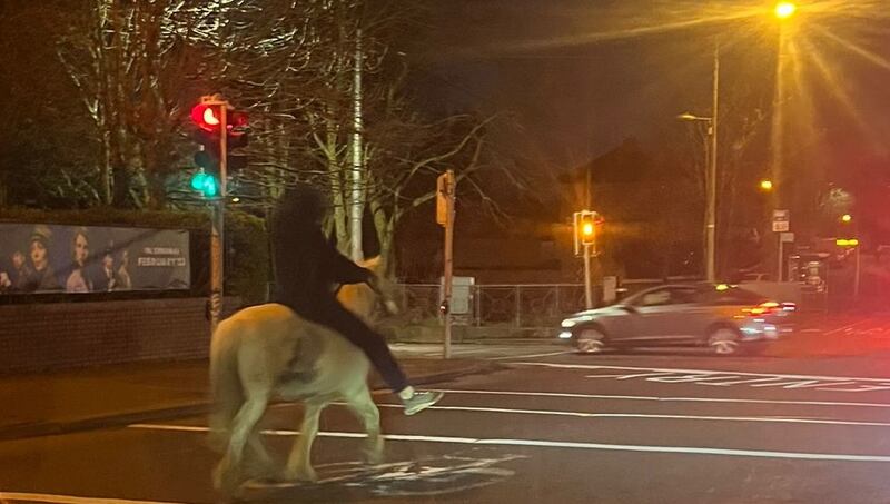 Another protestor on horseback in Coolock on Wednesday night. Photograph: The Irish Times