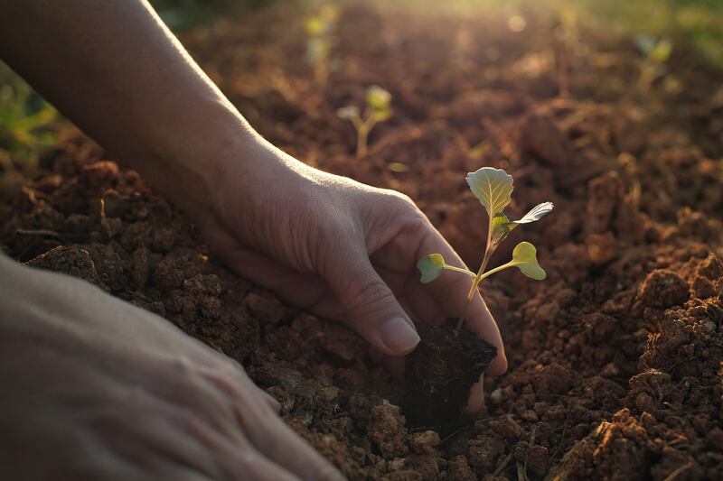 Seed funding: Are we doing enough to nurture Ireland’s start-ups?