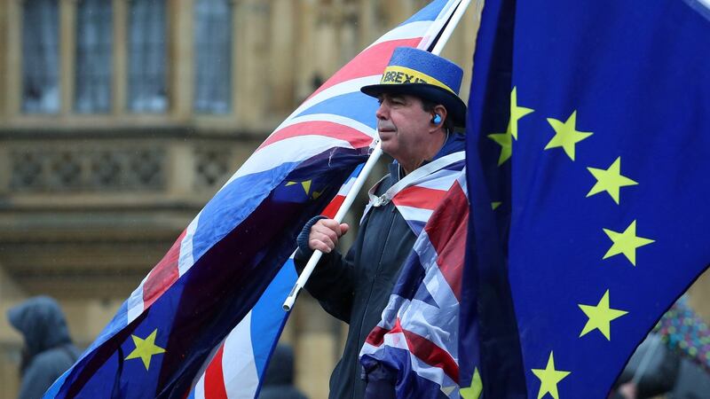 An anti-Brexit protester demonstrates outside the Houses of Parliament in London. Photograph: Hannah McKay/Reuters