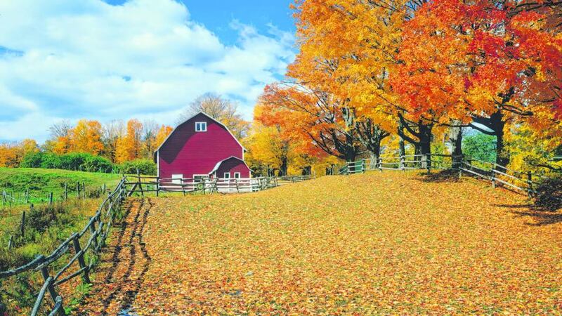 Seasonal colour in  Vermont. Photograph: Getty Images