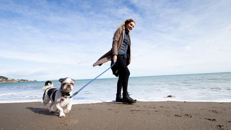 A view of sand which has built up on Killiney beach in Dublin where Priska Haefliger took her dog Freddie for a walk on Tuesday. Photograph: Tom Honan