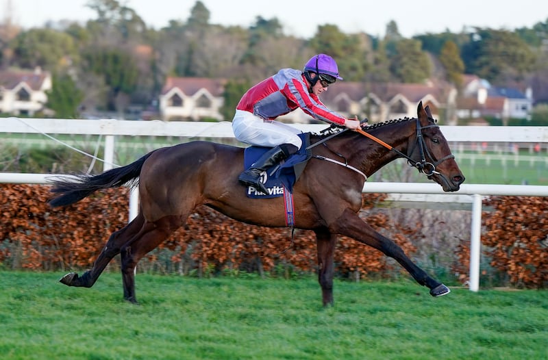 Charlie Mullins riding Fascile Mode to victory in the Plusvital Flat Race at Leopardstown last year. Tom Mullins's charge lines up in the Royal Bond this weekend. Photograph: Alan Crowhurst/Getty Images