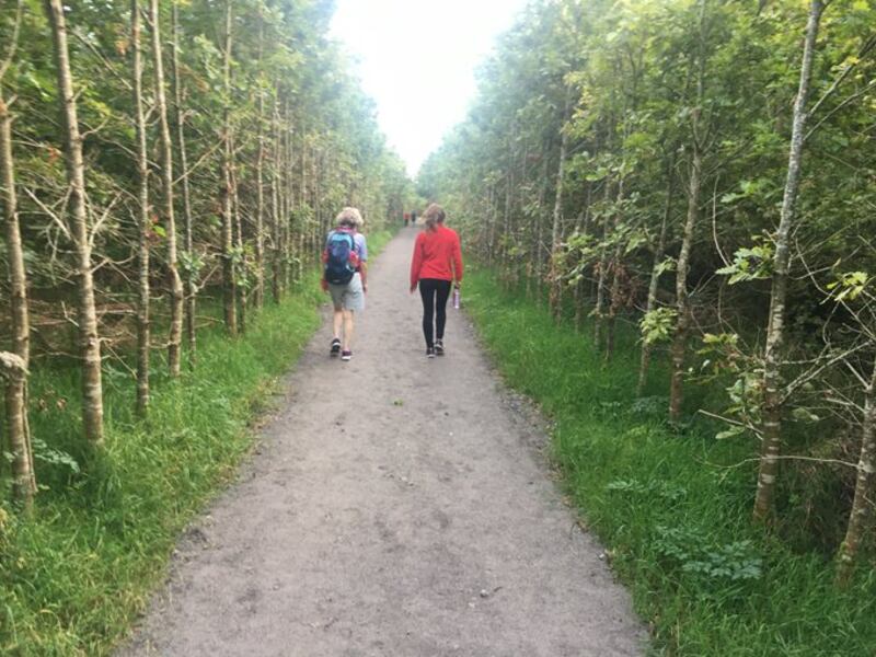 The High Kings loop near Cashel, Co Tipperary