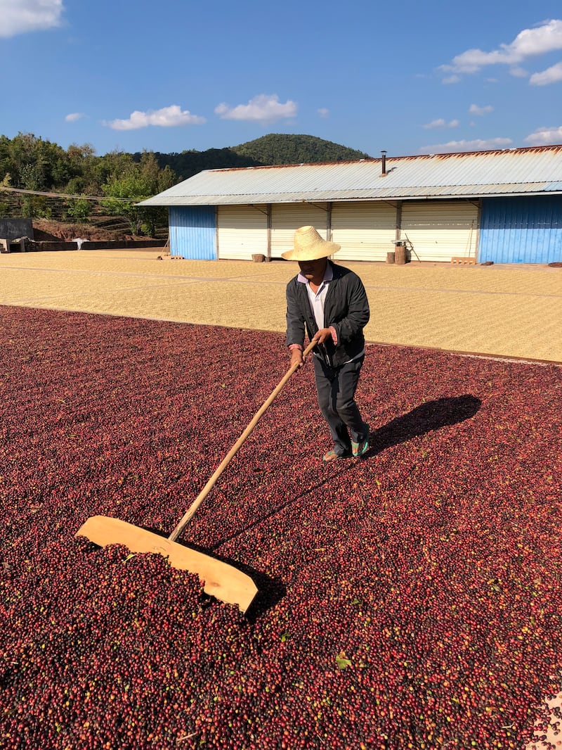 Coffee consumption has risen significantly in China in recent years 