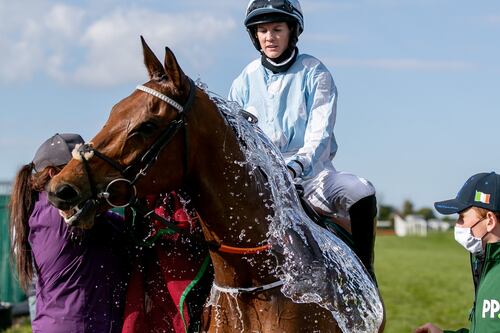 Honeysuckle bids to extend unbeaten record in Winter Festival at Fairyhouse