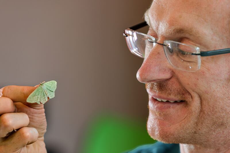 Moth expert and orthodontist Stephen Cotter, based in Killarney, is passionate about moths. Photograph: Valerie O'Sullivan