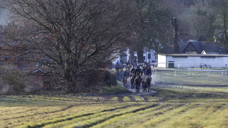 Some of Henderson’s horses head for the gallops at Seven Barrows stables on Tuesday. Photo: Alan Crowhurst/Getty Images