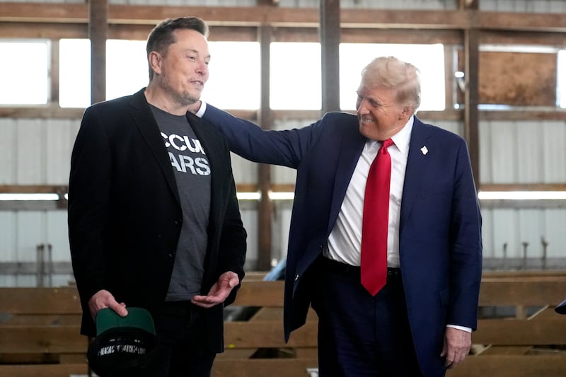 Elon Musk with Donald Trump at a campaign event before the election. Photograph: Alex Brandon/AP