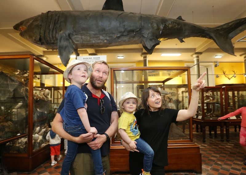 Eoghan and Lynn O'Brien with their children Tadhg (5) and Oisin (3) in the newly refurbished Natural History Museum in Dublin. Photograph: Sasko Lazarov/RollingNews.ie