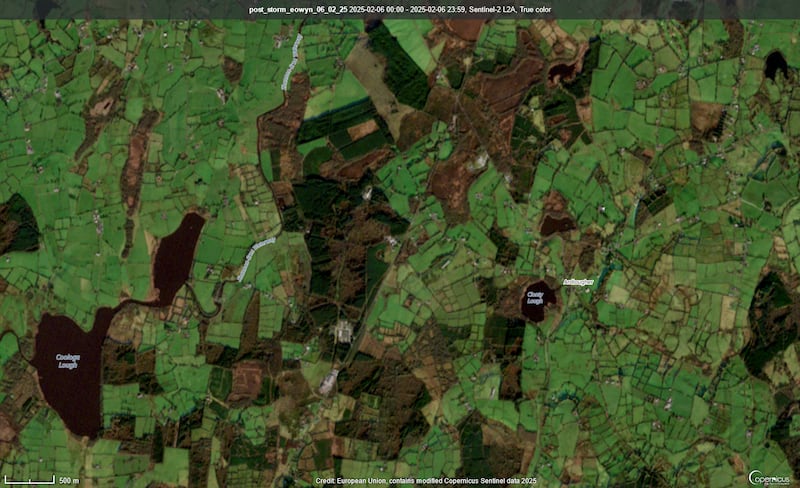 This image shows the extent of damage in the same area. The dun-coloured areas are where trees have fallen. Image: Department of Agriculture